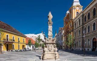 Cluj 1_web